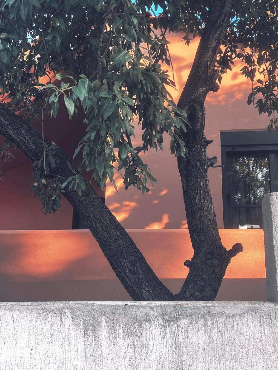 Alfiea Home 65M2 & Alfiea Studio 35M2 อาร์เตมีดา ภายนอก รูปภาพ